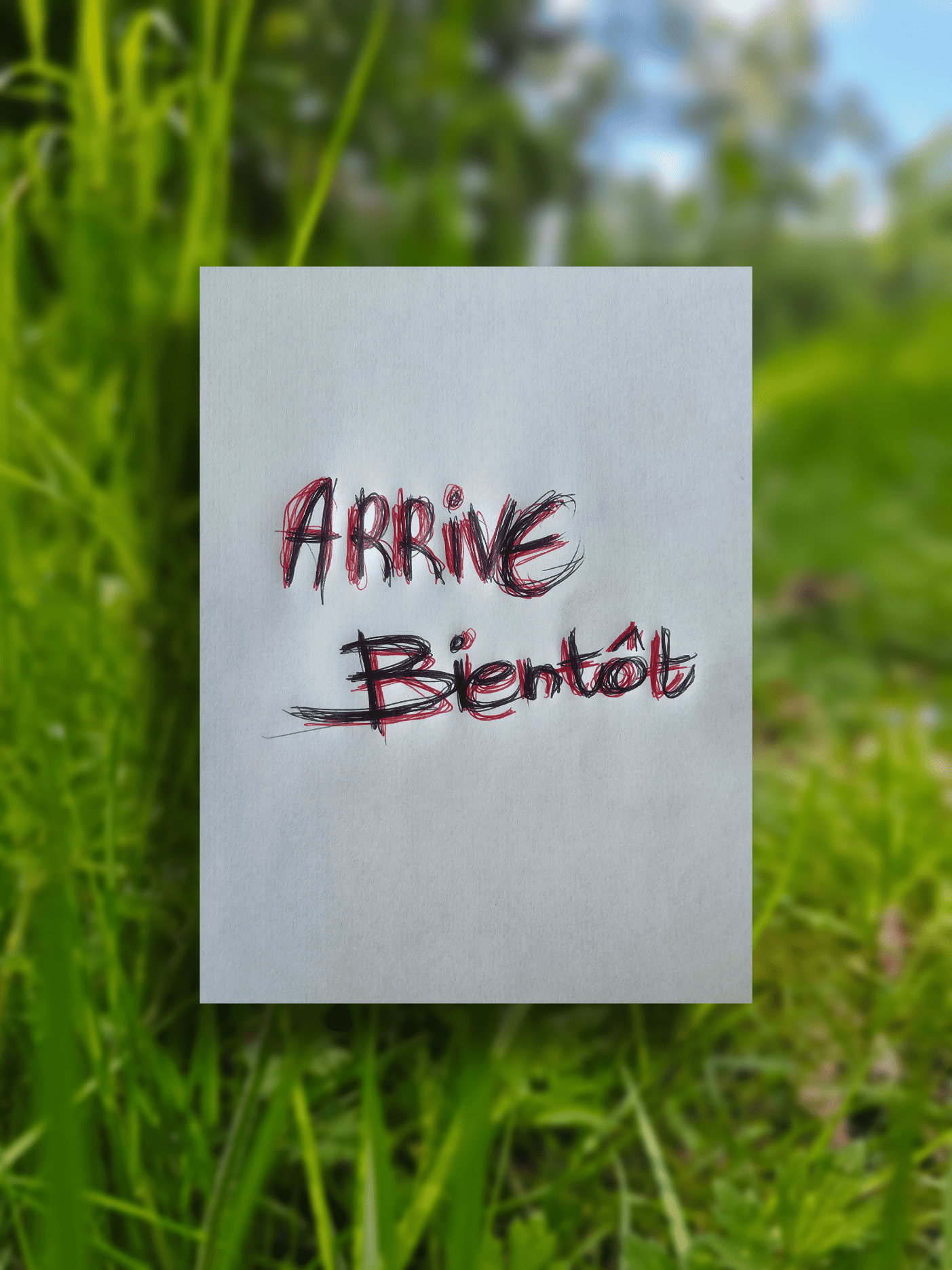 Recherche animale 2
