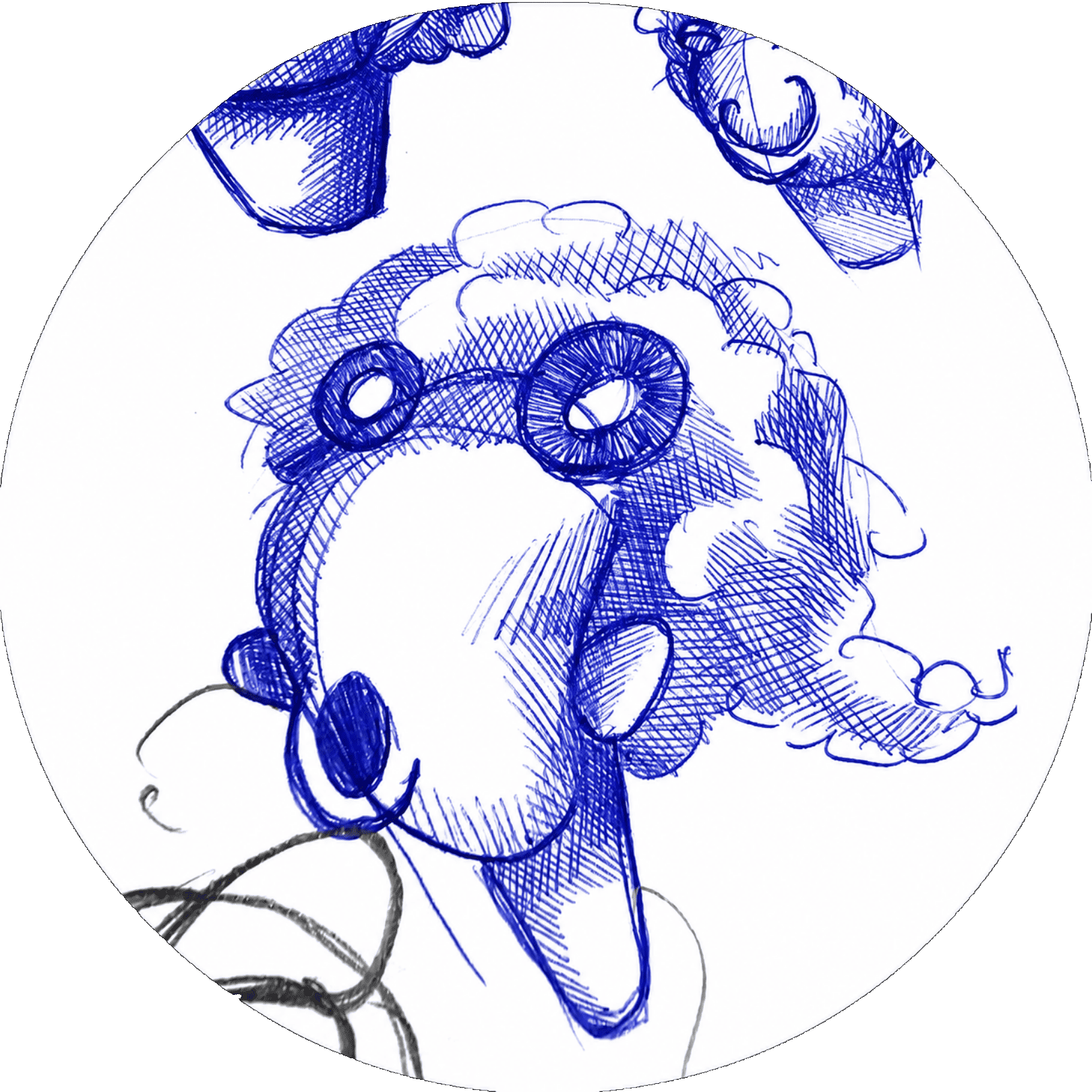 Logo Carickat